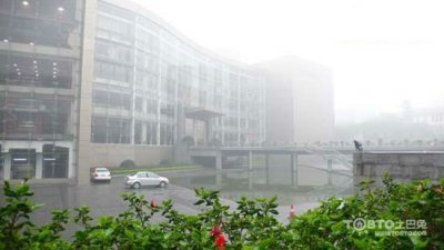 驚蟄過，春雨至，硅藻泥讓你告別濕轆轆